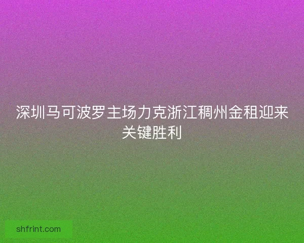深圳马可波罗主场力克浙江稠州金租迎来关键胜利